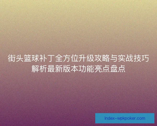 街头篮球补丁全方位升级攻略与实战技巧解析最新版本功能亮点盘点